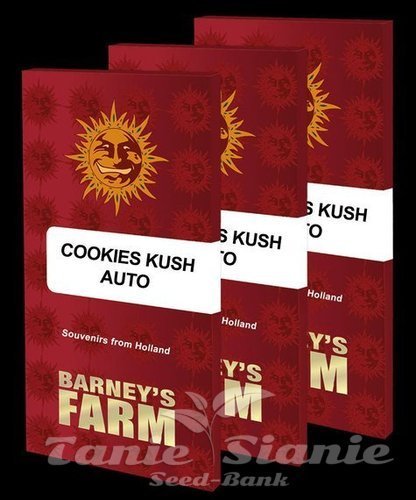 Nasiona Marihuany Cookies Kush Auto - BARNEY'S FARM