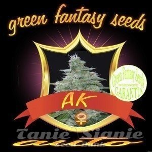 Nasiona Marihuany Auto AK - GREEN FANTASY SEEDS