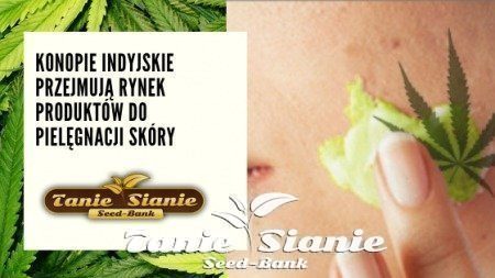 Konopie indyjskie przejmują rynek produktów do pielęgnacji skóry
