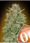 00 SEEDS BANK - 00 Skunk