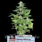 KERA SEEDS - White Widow
