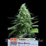KERA SEEDS - Blue Berry White
