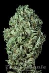 DINAFEM - Sour Diesel Auto