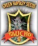 GREEN FANTASY SEEDS - Taucho