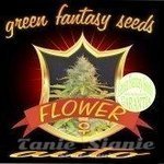 GREEN FANTASY SEEDS - Auto Flower
