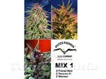 DUTCH PASSION - Mix 1