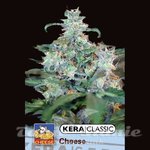 KERA SEEDS - Special Cheese