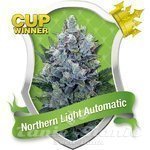 ROYAL QUEEN SEEDS - Northern Light Automatic®