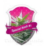 ROYAL QUEEN SEEDS - Special Kush#1