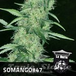 POSITRONICS - Somango 47