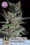 KERA SEEDS - La Widow
