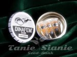 DINAFEM - Collectors Pack Nº 24