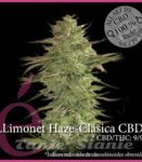 ELITE SEEDS - Llimonet Haze Clásica CBD