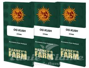 OG Kush - BARNEY'S FARM - 14