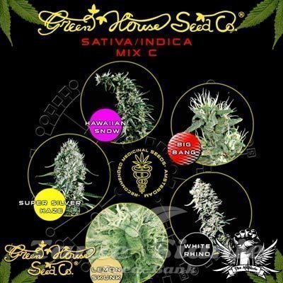 Nasiona Marihuany Sativa/Indica Mix C - GREEN HOUSE SEEDS