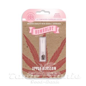 Apple Blossom - HUMBOLDT SEED COMPANY - 2