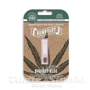 Bigfoot Glue - HUMBOLDT SEED COMPANY - 3