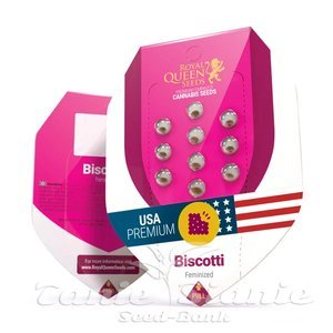 Biscotti - ROYAL QUEEN SEEDS - 3