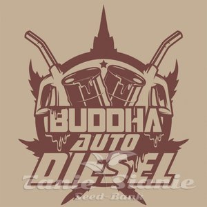 Buddha Auto Diesel - BUDDHA SEEDS - 2