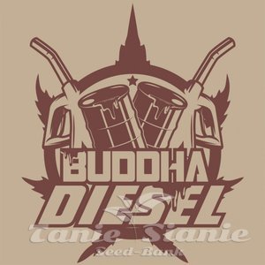 Buddha Diesel - BUDDHA SEEDS - 2