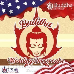Buddha Wedding Cheesecake - BUDDHA SEEDS - 2
