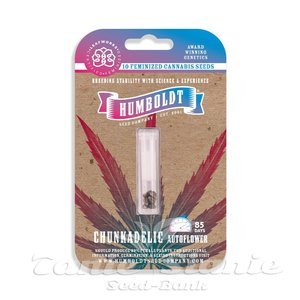 Chunkadelic Auto - HUMBOLDT SEED COMPANY - 2