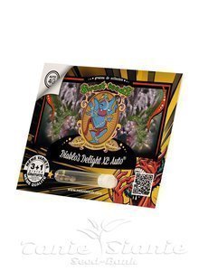 Diablo’s Delight XL Auto - SWEET SEEDS - 2