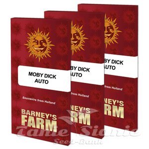 Moby Dick Auto - BARNEY'S FARM - 2