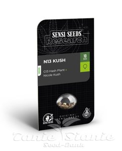 N13 Kush - SENSI SEEDS - 2
