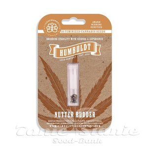 Nutter Budder - HUMBOLDT SEED COMPANY - 4