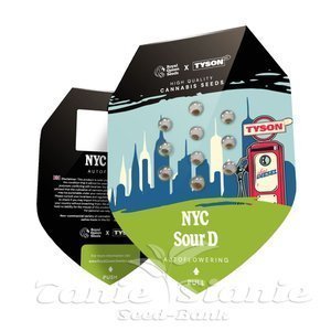 NYC Sour D Auto - ROYAL QUEEN SEEDS - 2