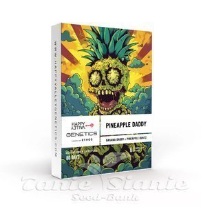 Pineapple Daddy Auto - HAPPY VALLEY GENETICS - 2