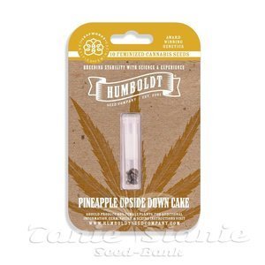 Pineapple Upside Down Cake - HUMBOLDT SEED COMPANY - 4