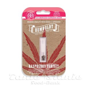 Raspberry Parfait - HUMBOLDT SEEDS COMPANY - 5