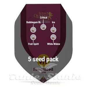 Feminized Mix - ROYAL QUEEN SEEDS - 2