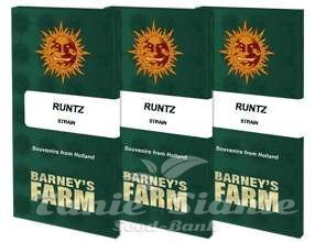 Runtz - BARNEY'S FARM - 7