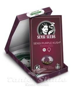 Sensi Purple Kush - SENSI SEEDS - 2