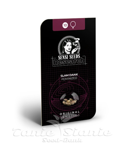 Slam Dank - SENSI SEEDS - 2