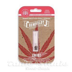 Squirt - HUMBOLDT SEED COMPANY - 6
