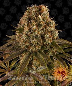 Strawberry Lemonade - BARNEY'S FARM - 1