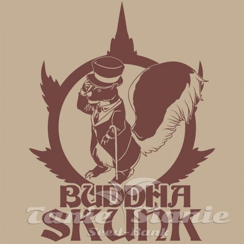 Nasiona Marihuany Buddha Skunk - BUDDHA SEEDS