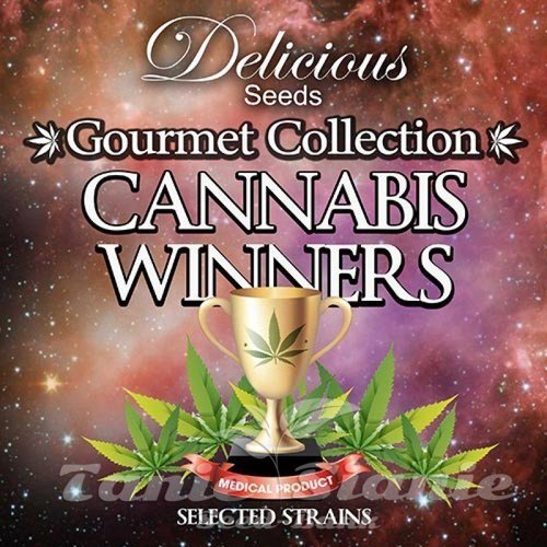 Nasiona Marihuany Gourmet Collection Cannabis Winners 1 - DELICOUS SEEDS