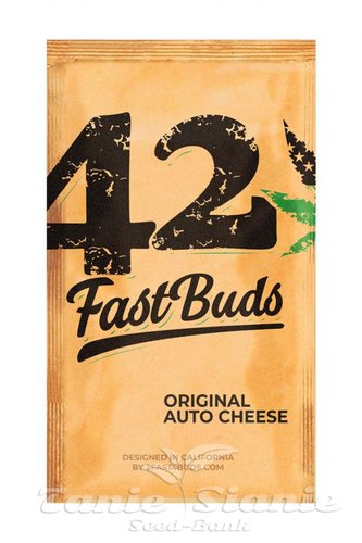 Nasiona Marihuany Original Auto Cheese - FASTBUDS