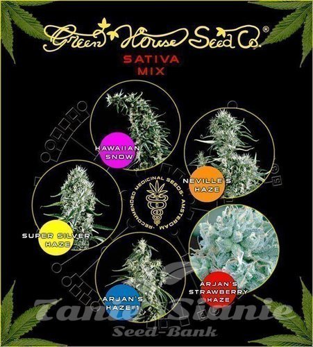 Nasiona Marihuany Sativa Mix - GREEN HOUSE SEEDS