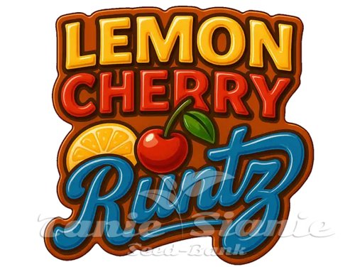Nasiona Marihuany Lemon Cherry Runtz - FASTBUDS