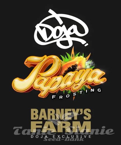 Nasiona Marihuany Papaya Frosting - BARNEY'S FARM