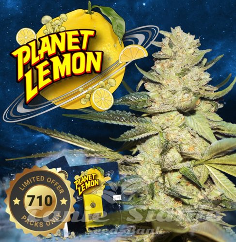 Nasiona Marihuany Planet Lemon - T.H. SEEDS