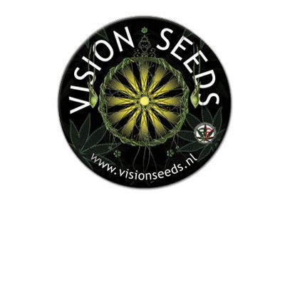 Vision Seeds