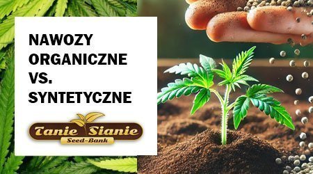 Nawozy organiczne vs. syntetyczne - co lepiej działa na nasiona marihuany?