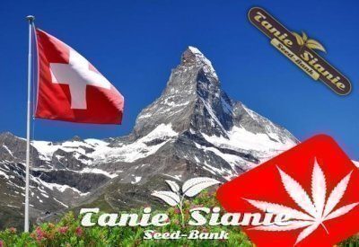 Szwajcaria zaakceptowała projekt ustawy na sprzedaż marihuany